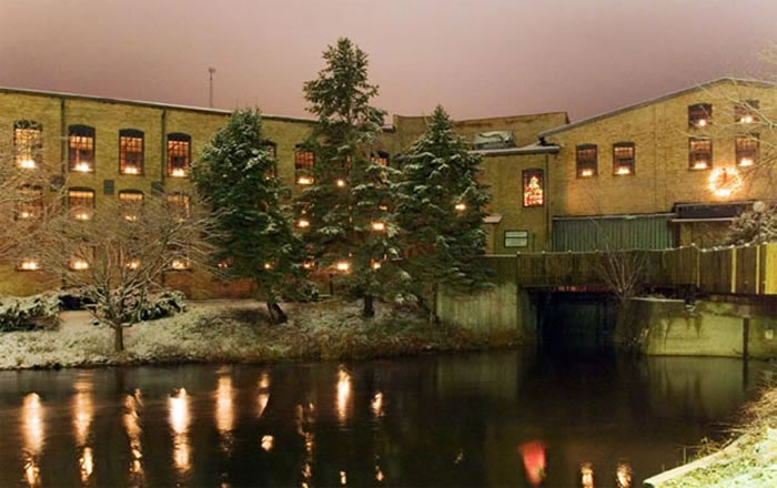 Light Up Your Holidays at Plainwell’s Tree Lighting