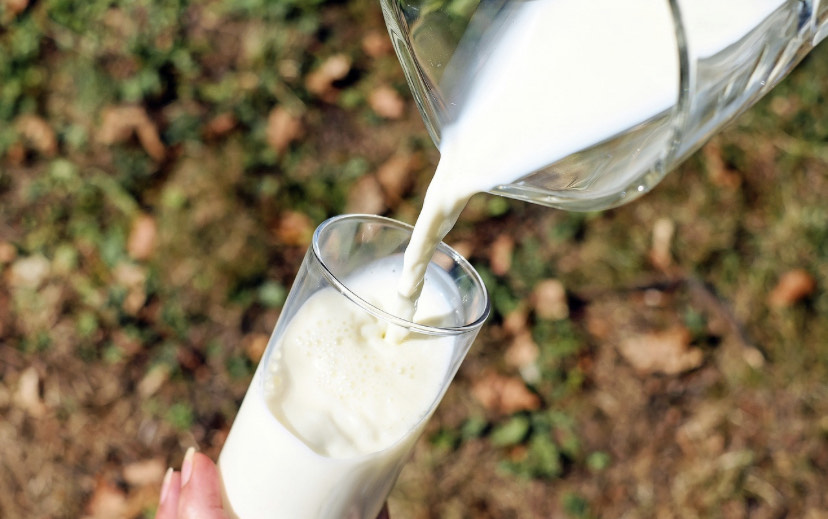 Milk
