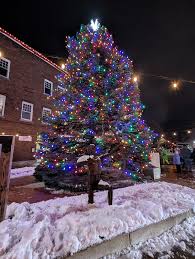 Christmas Tree Blaze: The Plainwell Tree Lighting
